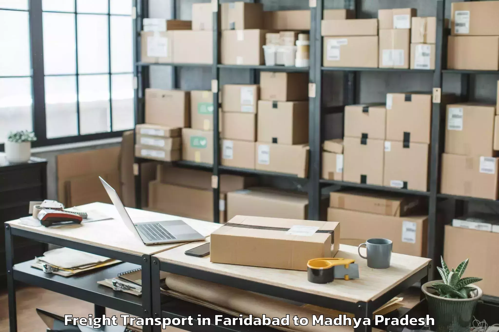 Trusted Faridabad to Sabalgarh Freight Transport